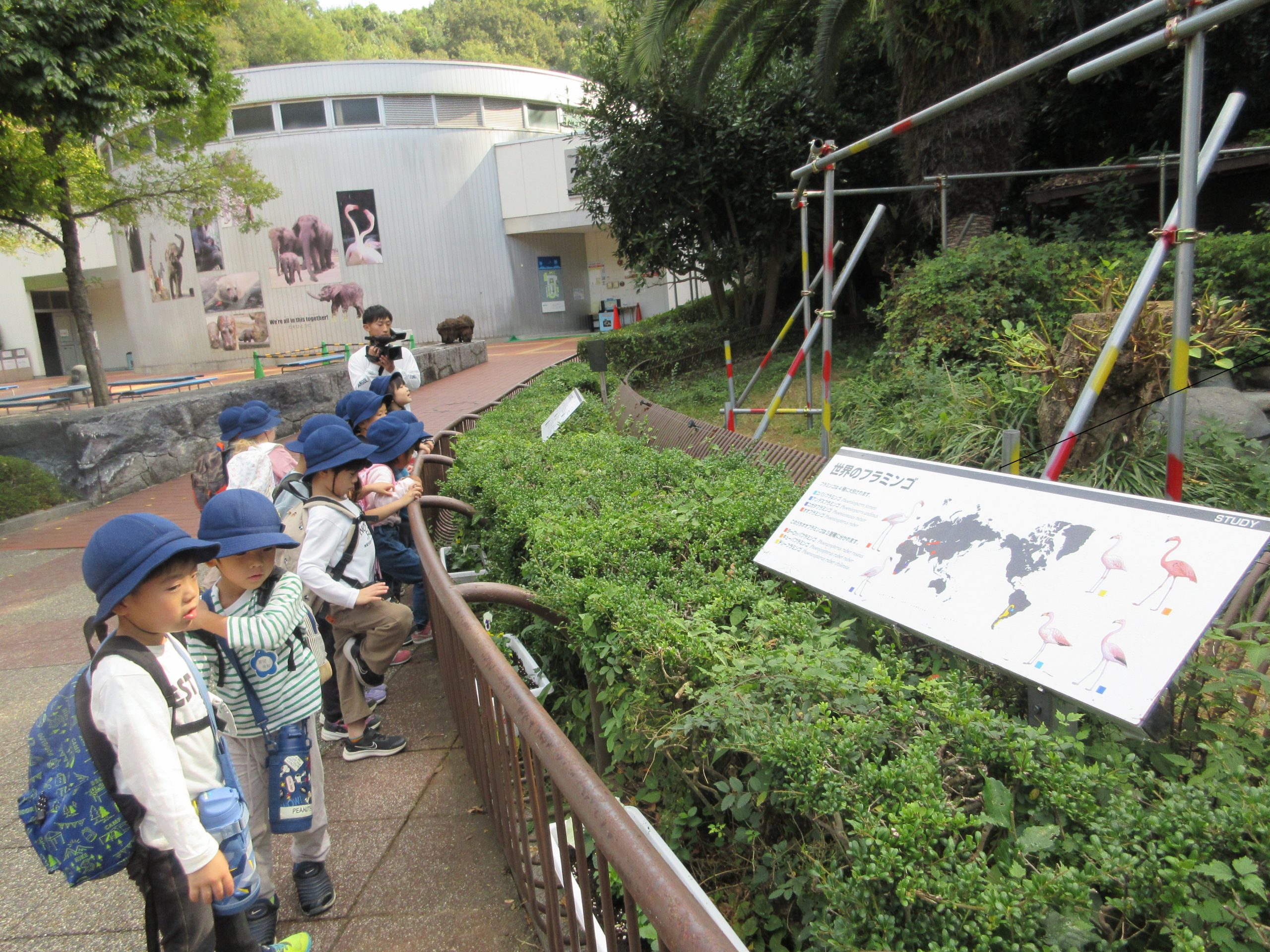 年長組 動物園